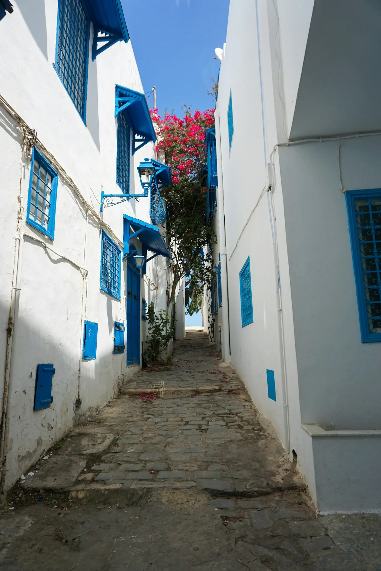 Ruelle blanche et bleue de Sidi Bou Saïd